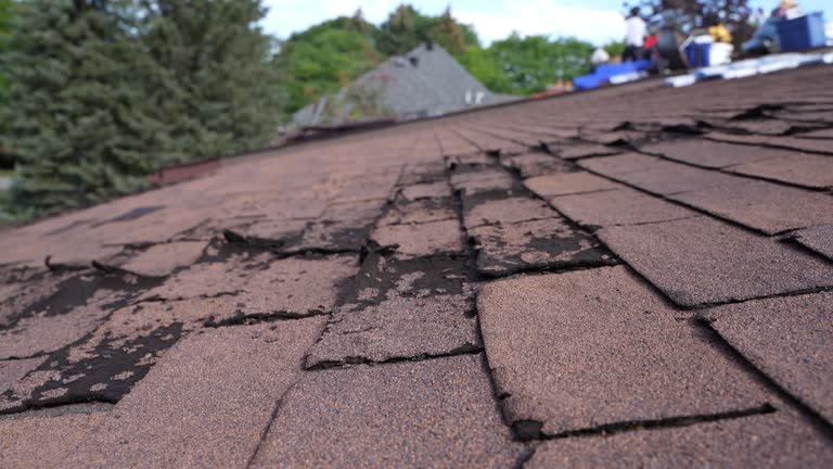 Best Emergency Roof Repair Services  in Lake Elmo, MN