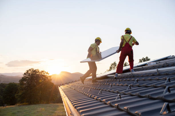 Best Roof Coating and Sealing  in Lake Elmo, MN